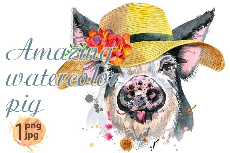 cute-piggy-in-summer-hat-pig-for-t-shirt-graphics