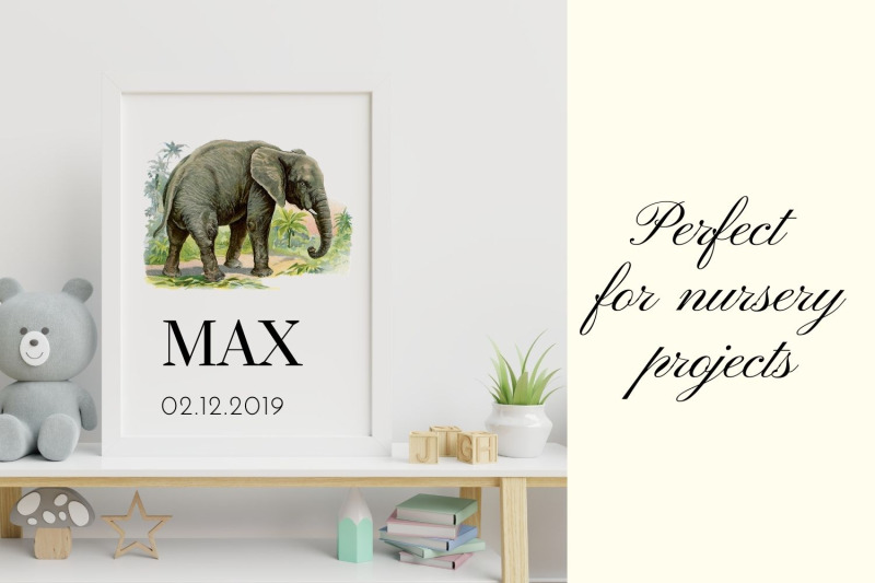 antique-animal-clipart-set-vintage-elephant-clipart-graphics