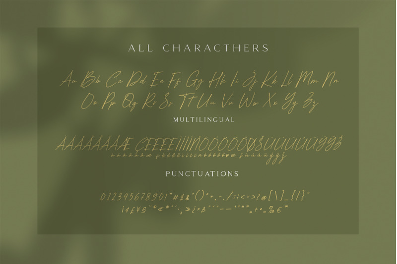 heleny-signature-script-font