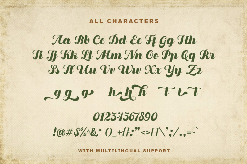dustland-bold-script-typeface