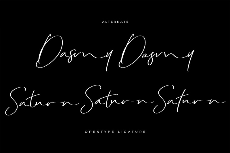 dakmy-signature-brush-font