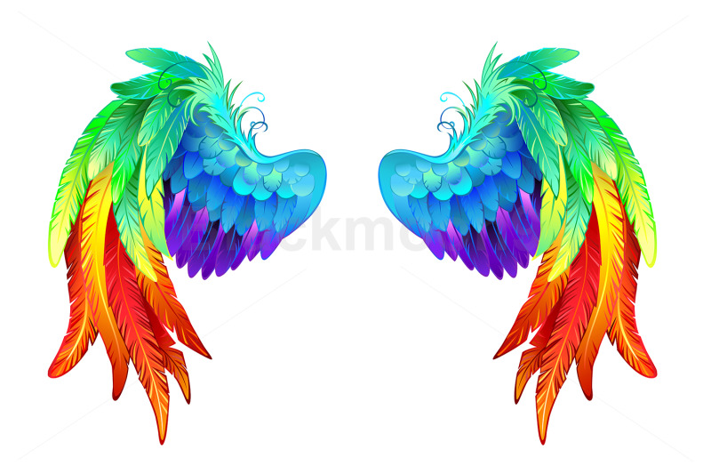 bright-rainbow-wings