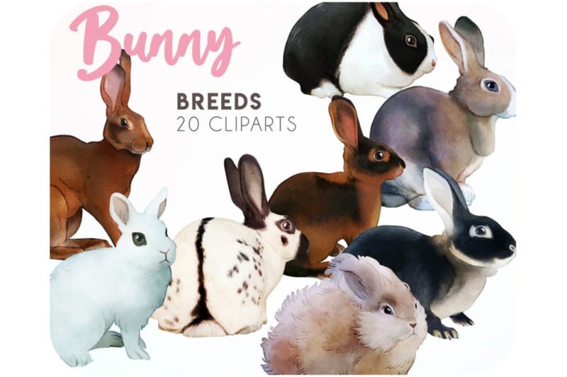 20-bunny-clipart-for-goodnotes-stickers-rabbit-lover-gift