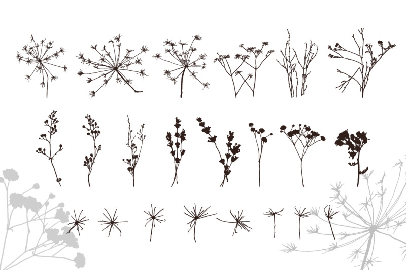 vector-brushes-of-natural-elements