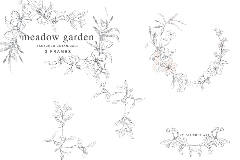 pencil-sketched-meadow-flowers-collection