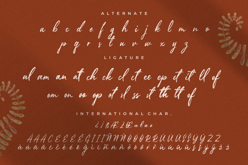 priscilla-fancy-brush-typeface