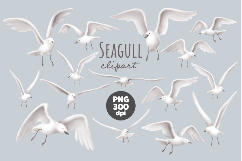 seagull-clipart