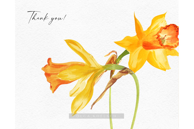 watercolor-daffodil-clipart-easter-clipart-with-yellow-floral-element