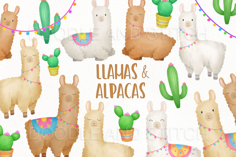 llama-and-alpacas-clipart-illustrations