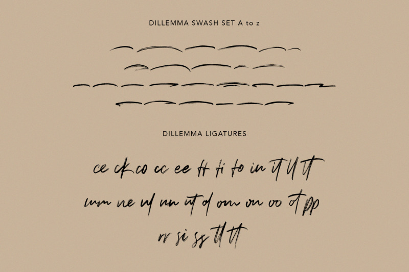 dillemma-handwritten-brush-font-extra-swash