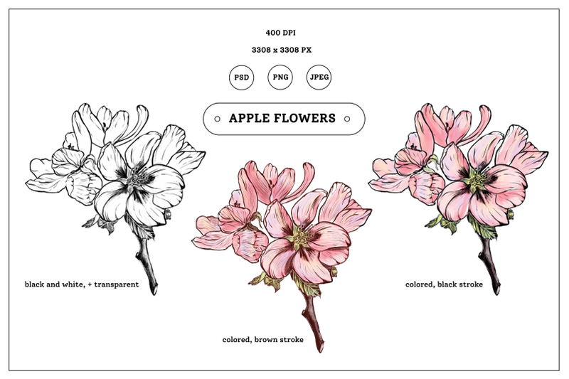 apple-flowers