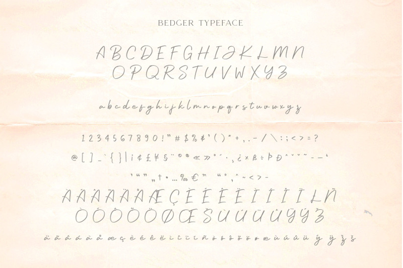 bedger-stylish-script-font