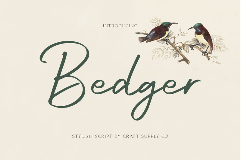 bedger-stylish-script-font