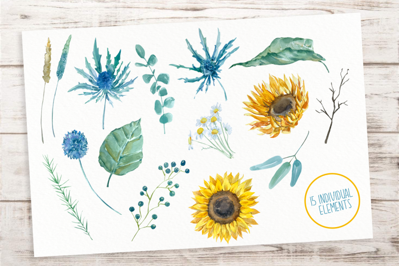 sunflowers-and-thistle-clip-art-set