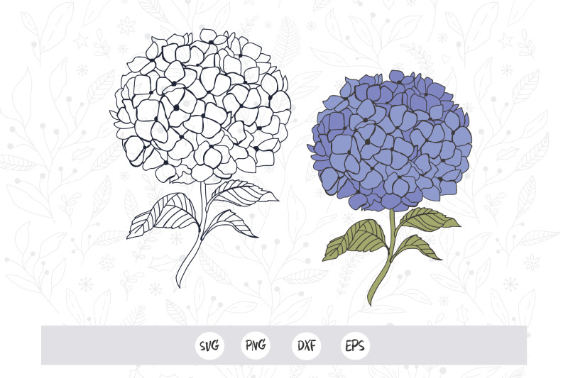 hydrangea-svg-flowers-garden-flower-svg-for-cricut-cut-file