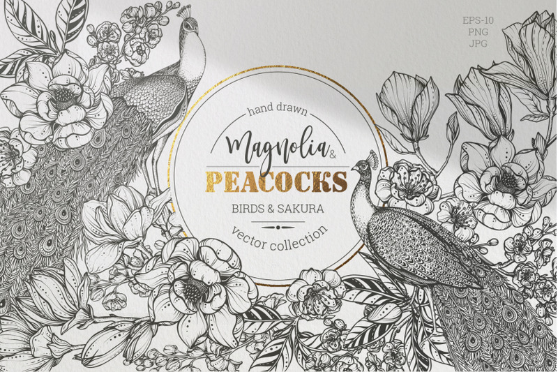 magnolia-and-peacocks-vector-set