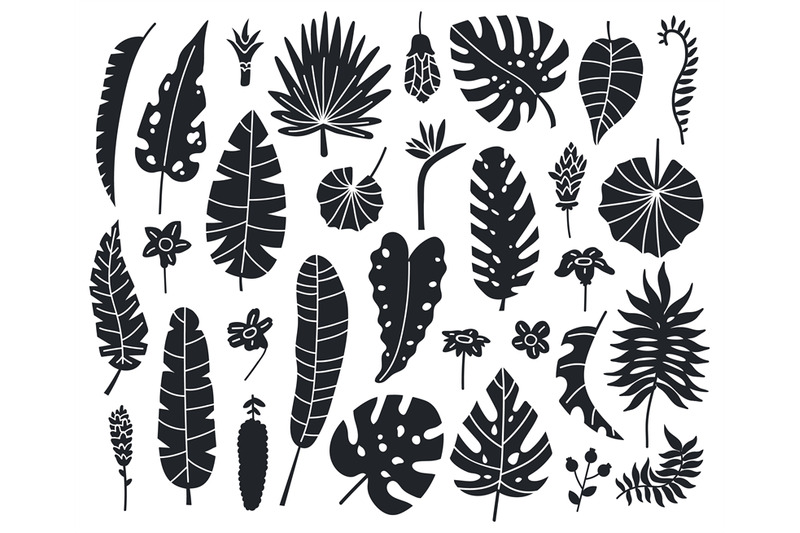 jungle-leaves-silhouettes-exotic-palm-banana-and-monstera-monochrome