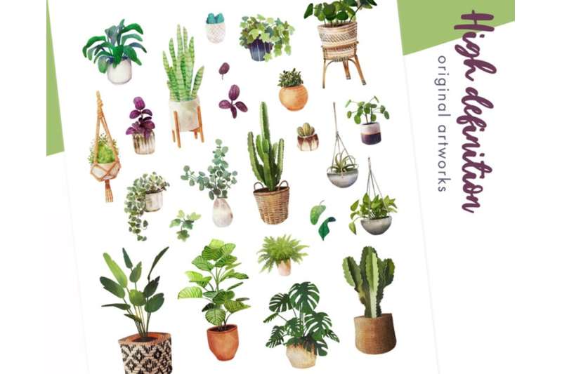 20-plants-botanical-cliparts-boho-cactus-clipart