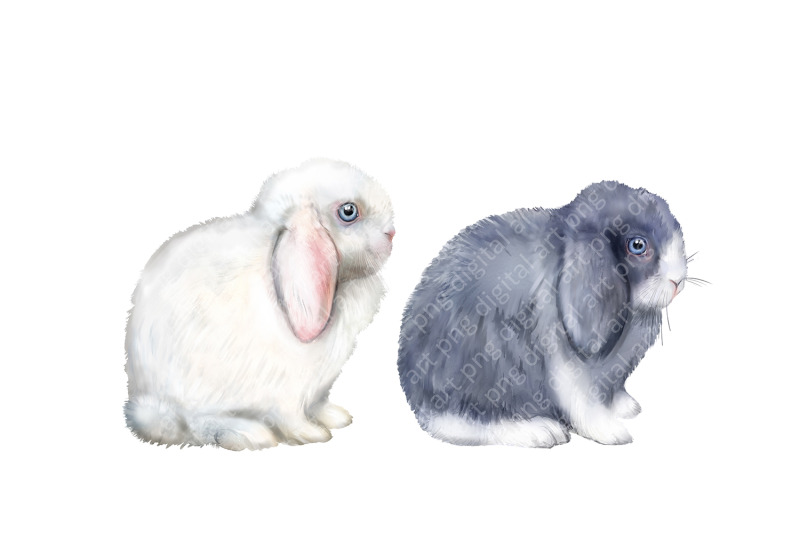 rabbits-watercolor-clipart-pets-farm-animals-rabbit-breeding-animal