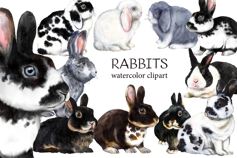 rabbits-watercolor-clipart-pets-farm-animals-rabbit-breeding-animal