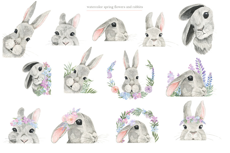 curious-rabbit-watercolor