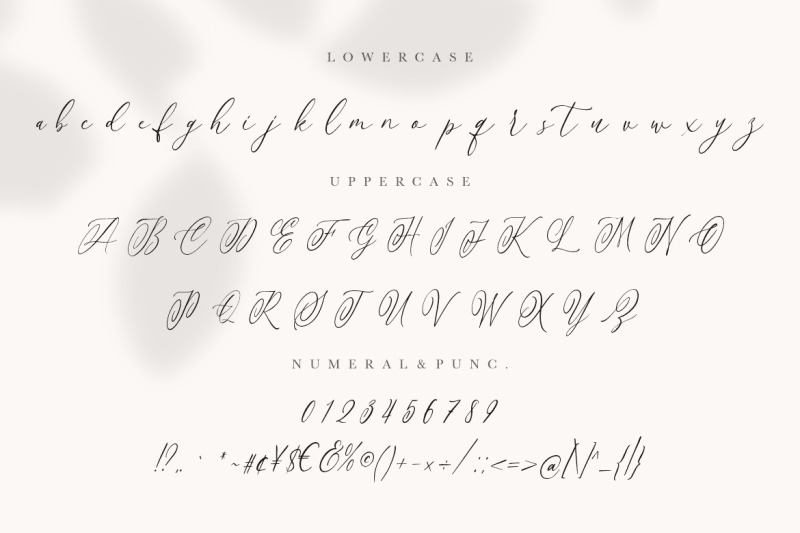 anttelope-luxury-calligraphy