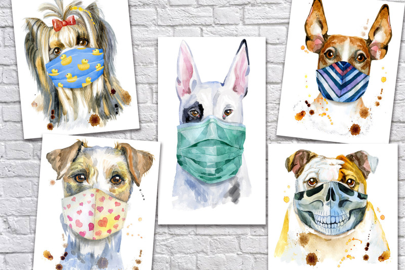 dogs-in-face-masks