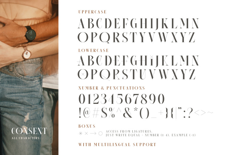 consent-editorial-serif-font