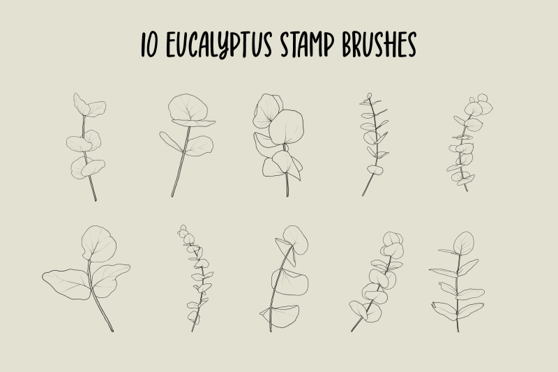 fern-and-eucalyptus-procreate-stamp-brushes