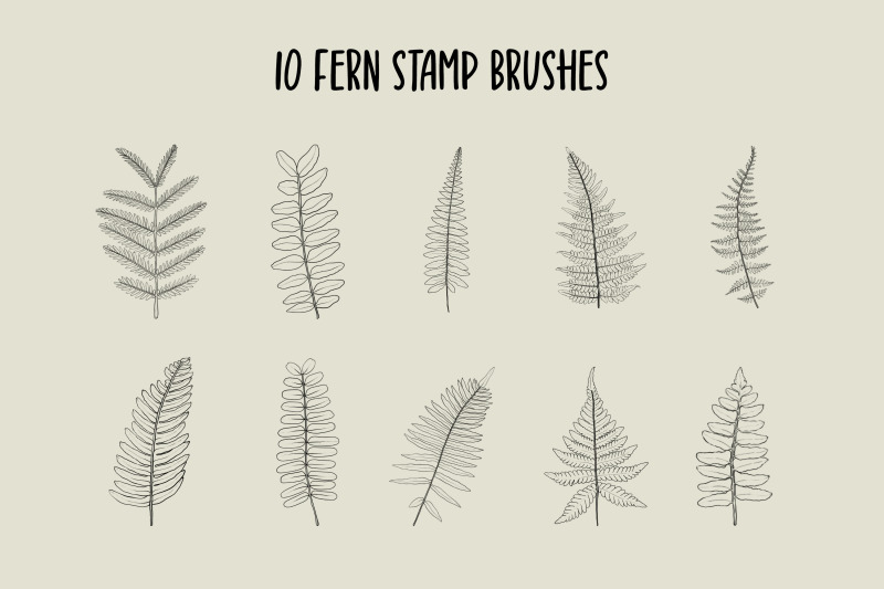 fern-and-eucalyptus-procreate-stamp-brushes