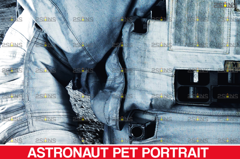 astronaut-pet-portrait-template-amp-digital-pet-art-pet-painting