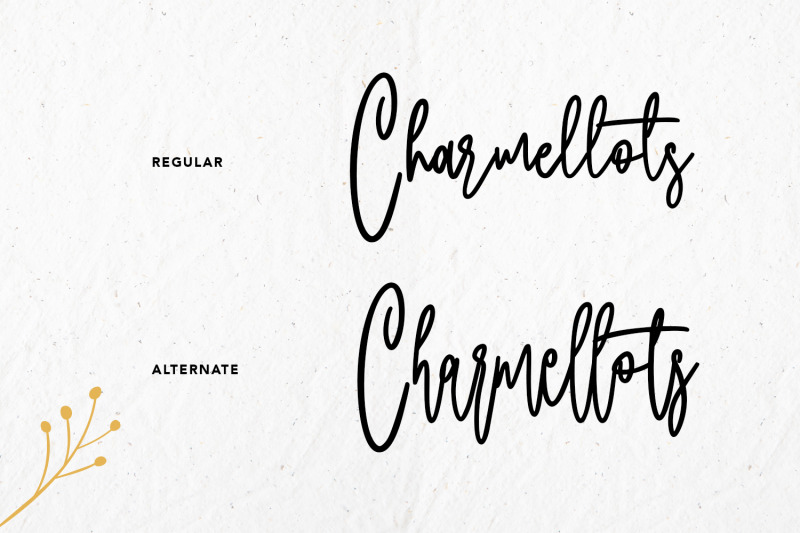 charmellotes-fancy-script-font-with-alternate