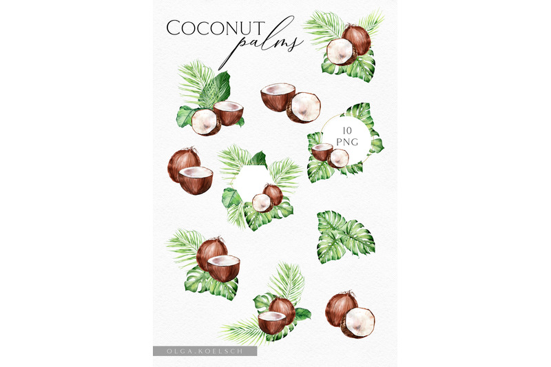 coconut-watercolor-clipart-modern-tropical-clipart-coconut-png-palm