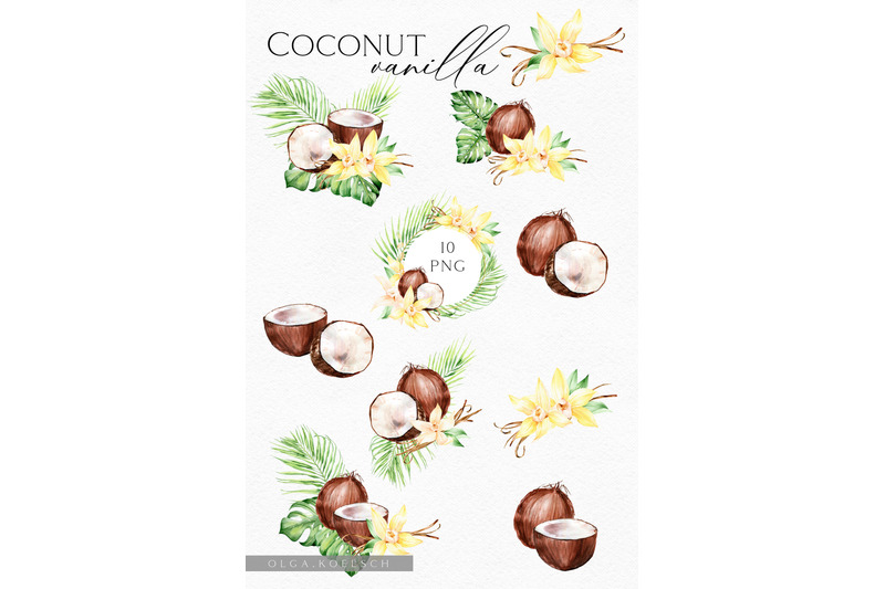 coconut-watercolor-clipart-vanilla-watercolor-bouquet-clipart-weddin