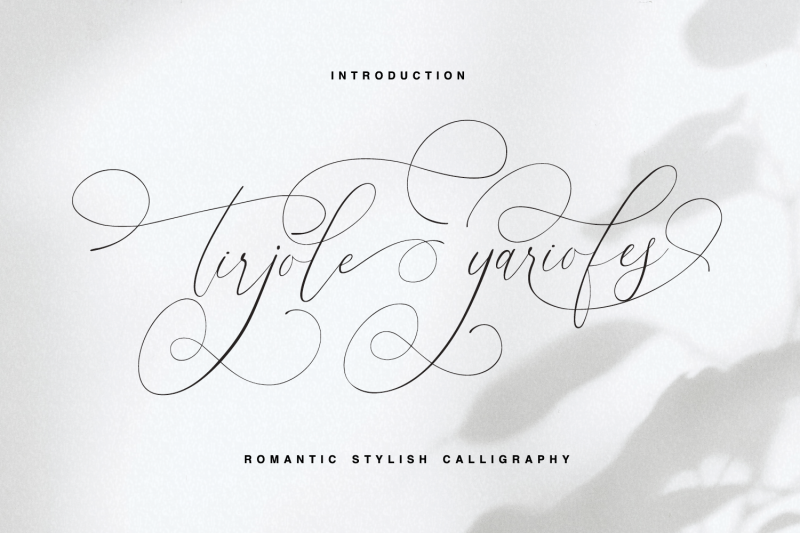tirjole-yariofes-romantic-stylish-calligraphy