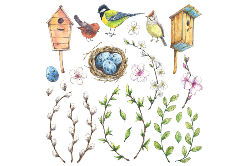 spring-birds-and-plants-set-hand-drawn-in-watercolor