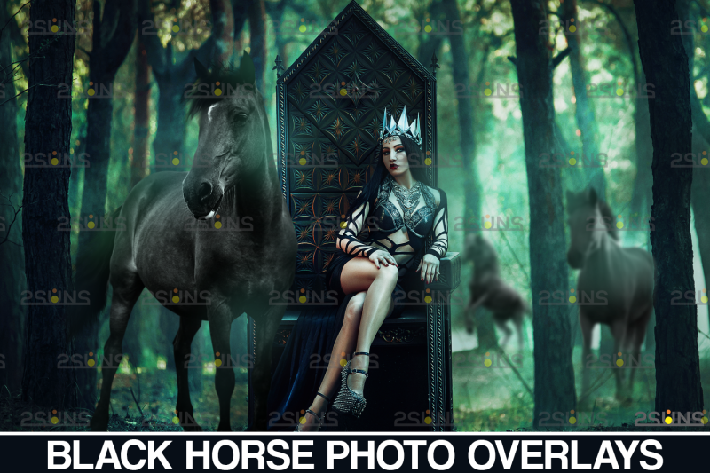 photoshop-overlay-black-horse-amp-christmas-overlay-gothic-horse-png