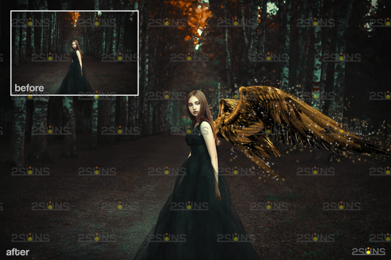 gold-fairy-wings-overlay-amp-photoshop-overlay-valentines-overlay-photo