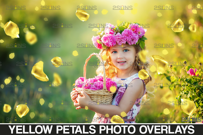 photoshop-overlay-flower-overlays-amp-rose-overlays-falling-rose