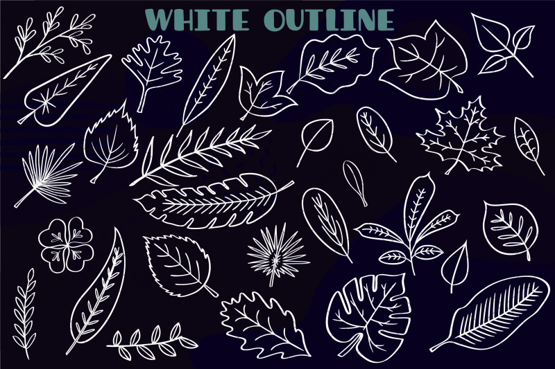 hand-drawn-leaves-white-tropical-foliage-plant