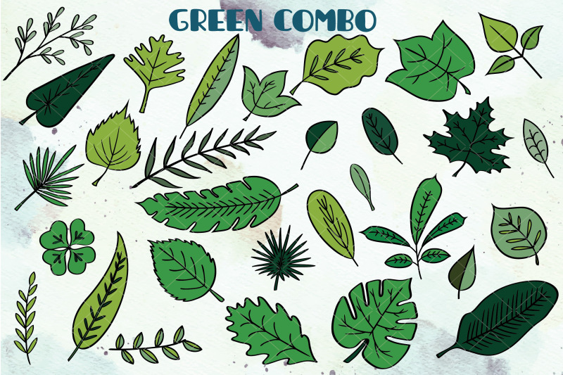 hand-drawn-leaves-color-tropical-foliage-plant