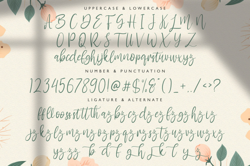 antemy-modern-script-font