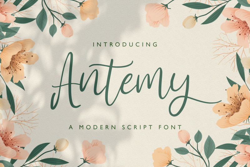 antemy-modern-script-font