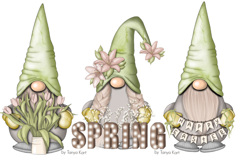 spring-green-gnomes-icons.