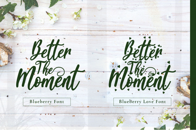 blueberry-modern-calligraphy-font