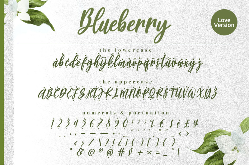 blueberry-modern-calligraphy-font
