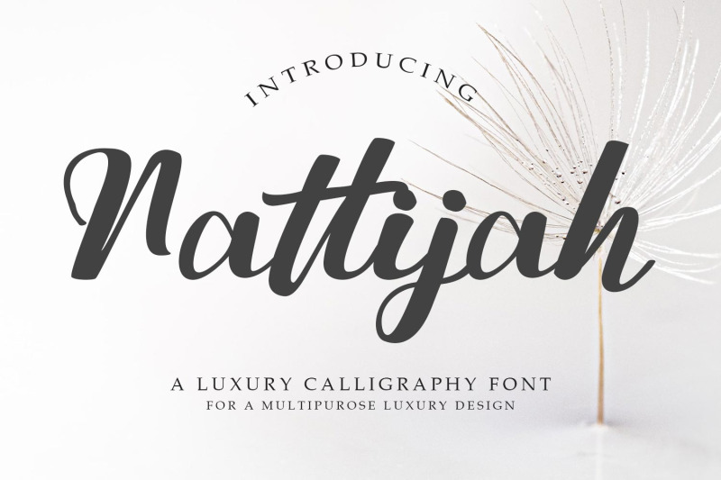 nattijah-luxury-calligraphy-font