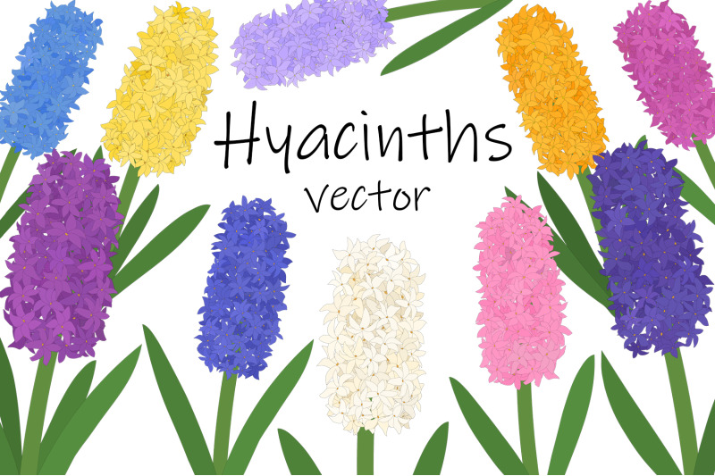 hyacinths-flower-hyacinths-vector-hyacinth-svg-flowers-svg