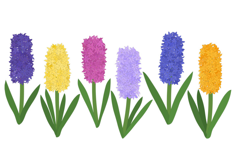 hyacinths-flower-hyacinths-vector-hyacinth-svg-flowers-svg