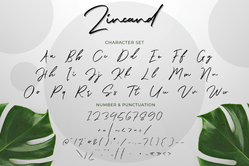 zincand-modern-script-font